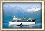 Juneau Alaska Sightseeing Tours