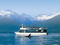 Whale Watching & Wildlife Quest