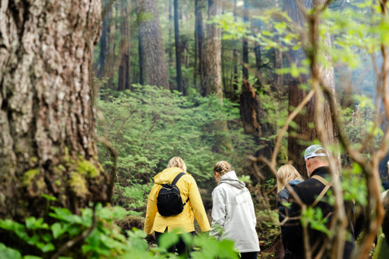 Nature Walk on Tour with Allen Marine Tours in Ketchikan Alaska
