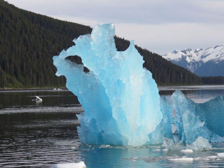 Tracy Arm Fjord tour from Juneau, Alaska